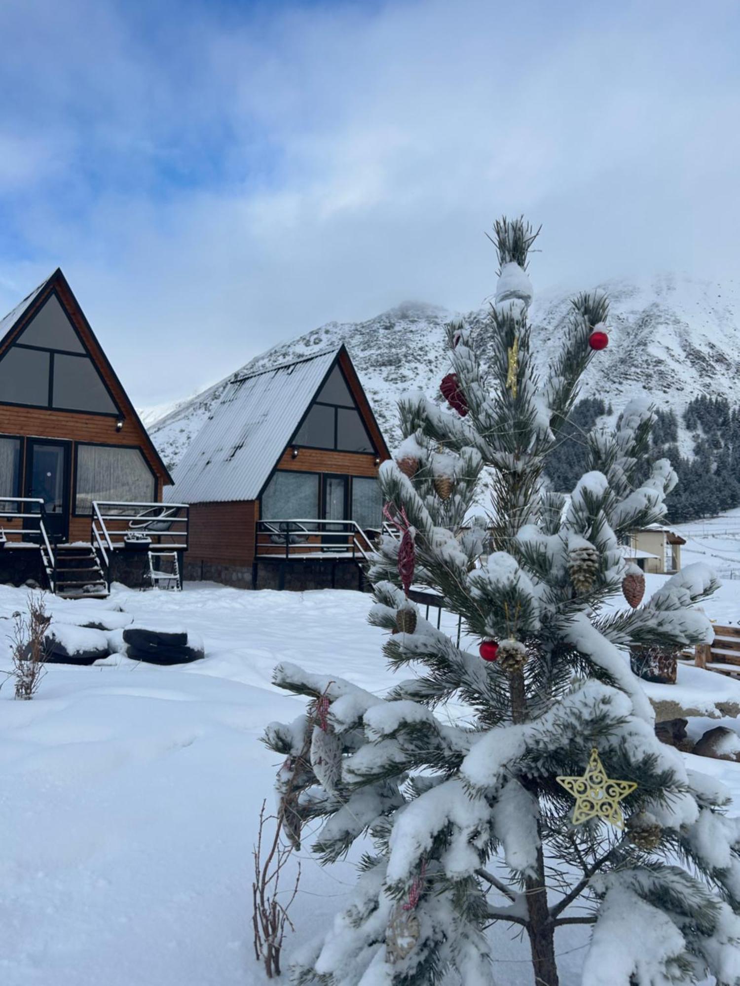 Mtisguli Cottages Степанцмінда Екстер'єр фото